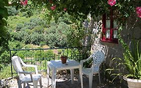My Room - Villa Vina - Ter